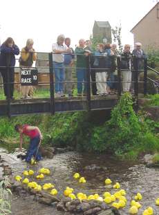 another duck race photo (12.6kb)