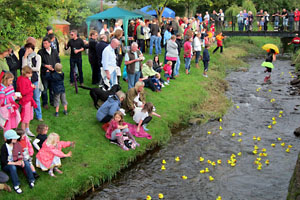 The Duck Race