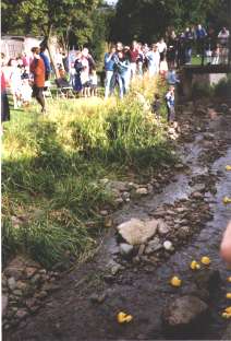 duck race photo (14.7kb)