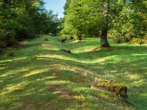 Remains of the Roman Dyke The Roman Dyke