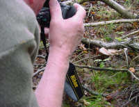 Trevor shoots shelf fungi shelf fungi