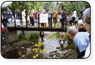 The Bridge The First Race