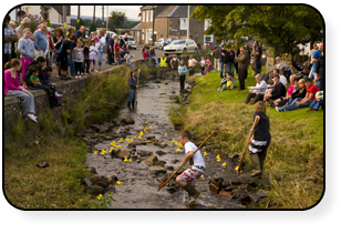 Ducks in full flow