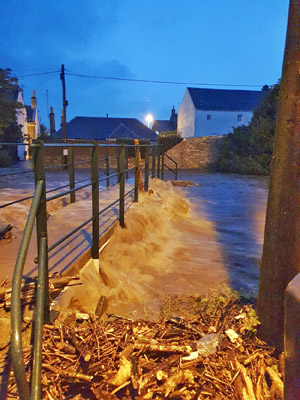 Duck Race Bridge