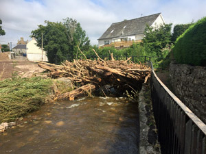 The garage bridge path.