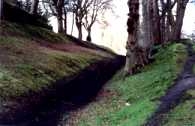 Antonines Wall photo 4.84kb